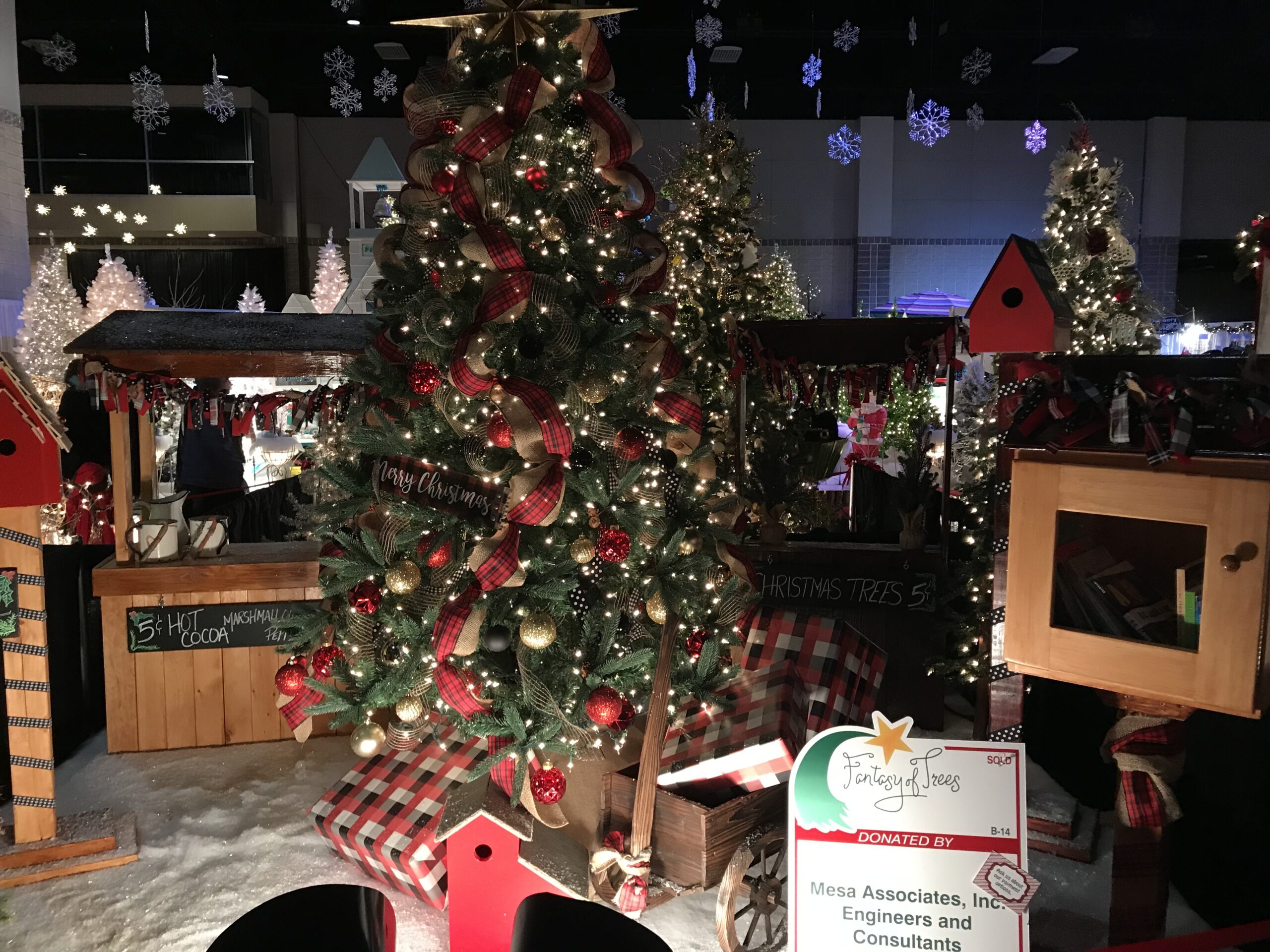 2019 Fantasy of Trees