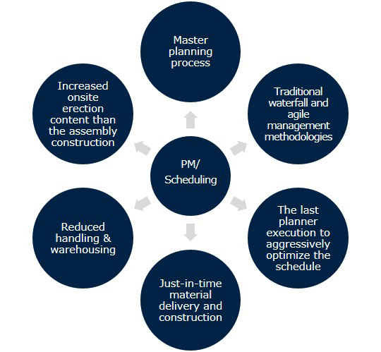 Program Project Management Capabilities