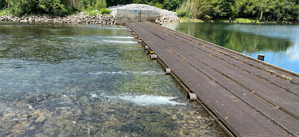 Hibbs Island Weir