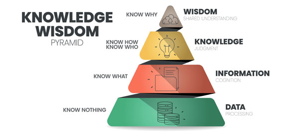 Knowledge Wisdom hierarchy infographic template with icon has Wisdom Shared understanding Knowledge Judgment Information Cognition Data Processing DIKW knowledge management pyramid vector