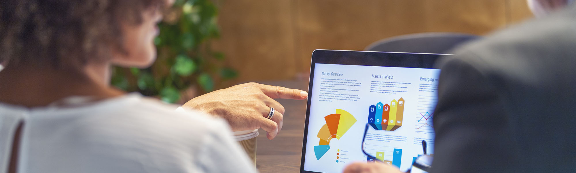 Portfolio Management Solutions